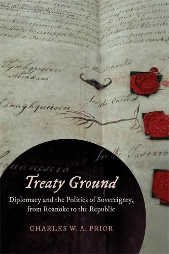 Cover image for Treaty Ground