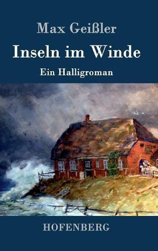 Cover image for Inseln im Winde: Ein Halligroman