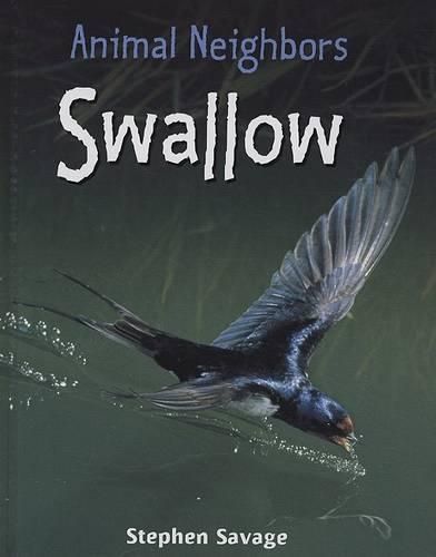 Swallow