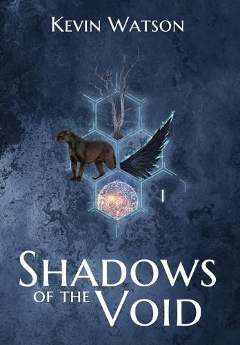 Cover image for Shadows of the Void