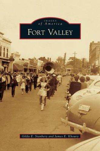 Cover image for Fort Valley