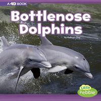 Cover image for Bottlenose Dolphins: a 4D Book (Mammals in the Wild)