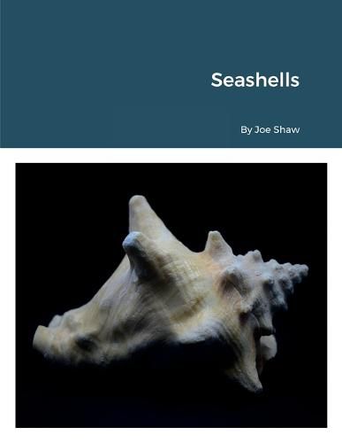 Cover image for Seashells