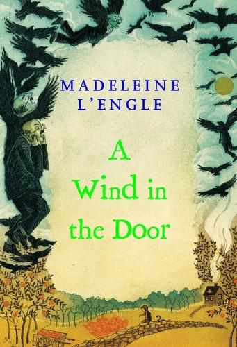 Cover image for A Wind in the Door