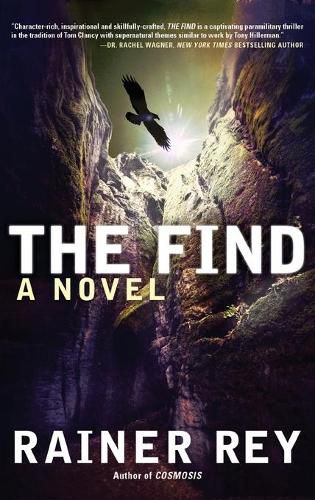 Cover image for The Find