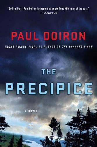 Cover image for The Precipice