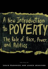 Cover image for A New Introduction to Poverty: The Role of Race, Power, and Politics