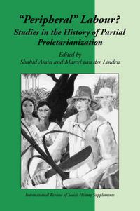 Cover image for Peripheral Labour: Studies in the History of Partial Proletarianization