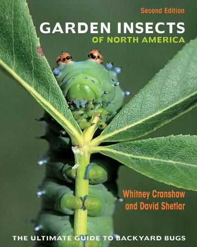 Cover image for Garden Insects of North America: The Ultimate Guide to Backyard Bugs - Second Edition