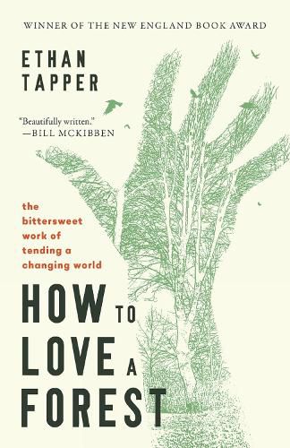 Cover image for How to Love a Forest