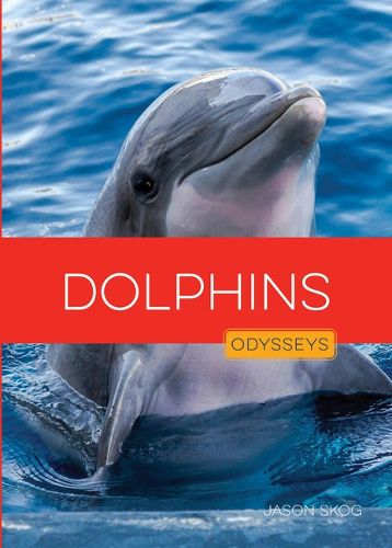 Cover image for Dolphins