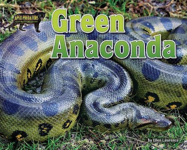 Cover image for Green Anaconda