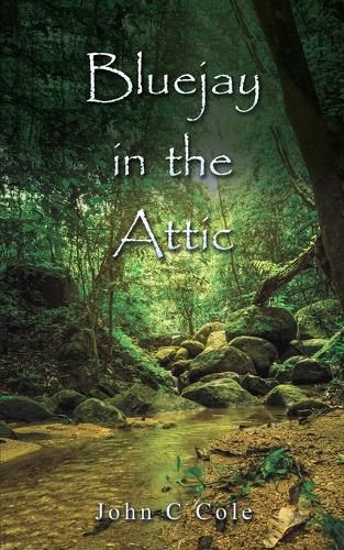 Cover image for Bluejay in the Attic