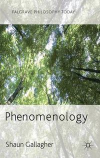 Cover image for Phenomenology