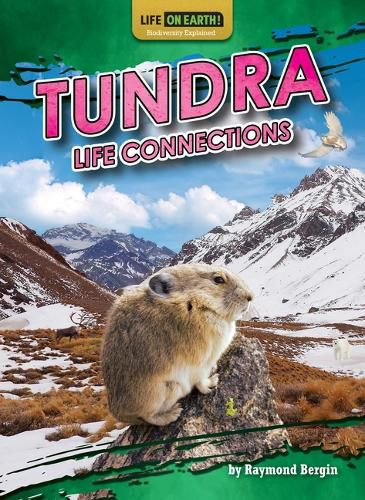 Cover image for Tundra Life Connections