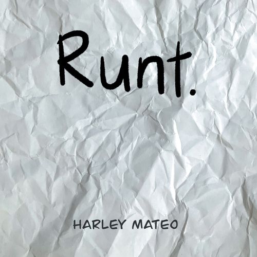 Cover image for Runt.