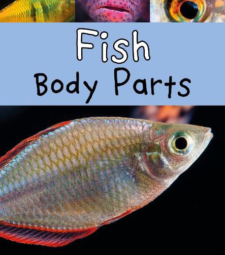 Cover image for Fish Body Parts