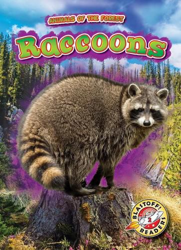 Cover image for Raccoons