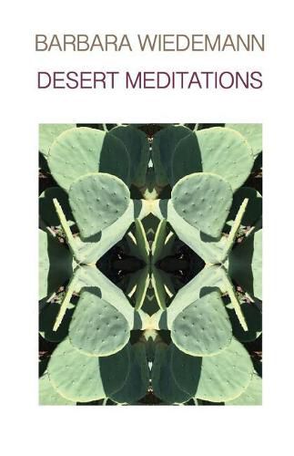 Cover image for Desert Meditations