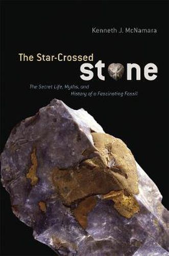 Cover image for The Star-crossed Stone: The Secret Life, Myths, and History of a Fascinating Fossil