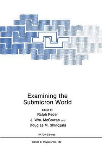 Cover image for Examining the Submicron World