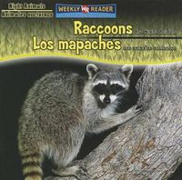 Cover image for Raccoons Are Night Animals / Los Mapaches Son Animales Nocturnos