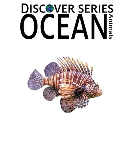 Cover image for Ocean Animals