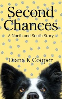 Cover image for Second Chances