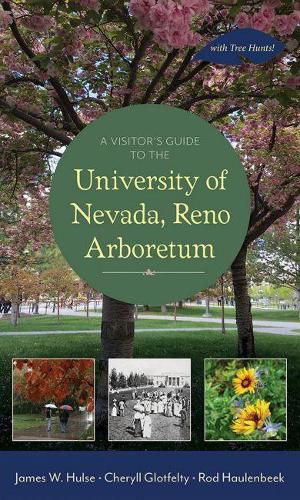 Cover image for A Visitor's Guide to the University of Nevada, Reno Arboretum