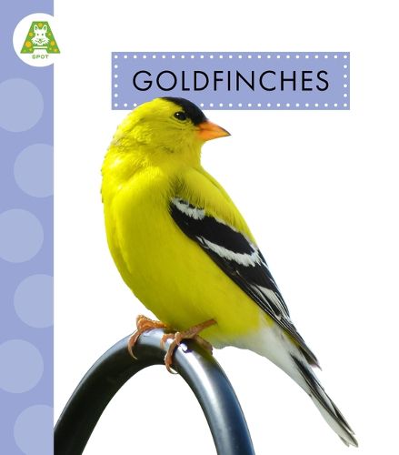 Cover image for Goldfinches