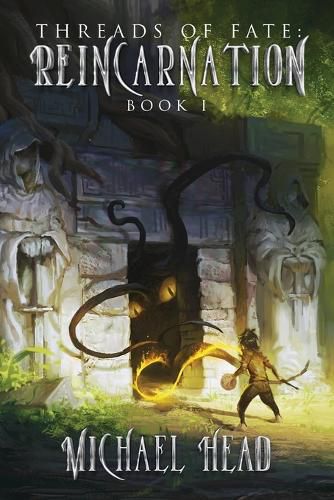Cover image for Reincarnation