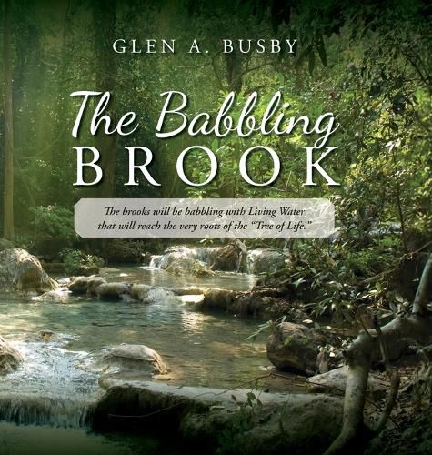 Cover image for The Babbling Brook