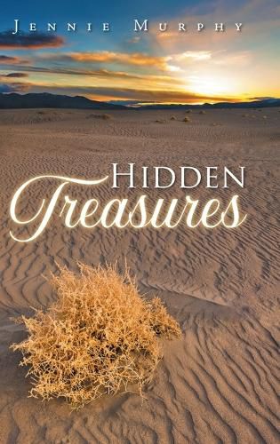 Cover image for Hidden Treasures