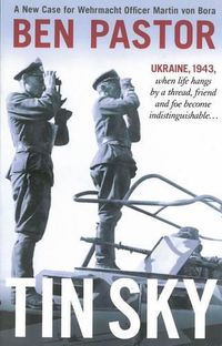 Cover image for Tin Sky