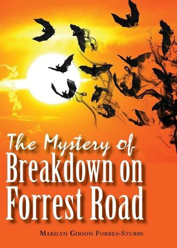 Cover image for The Mystery of Breakdown on Forrest Road