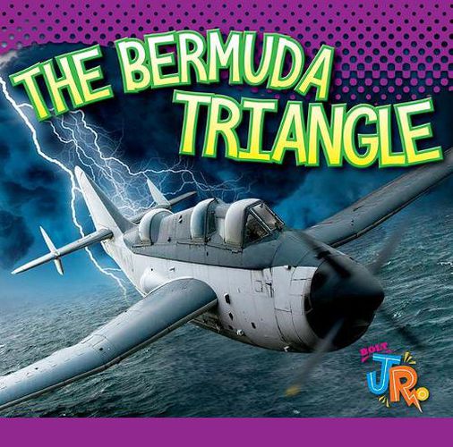 Cover image for The Bermuda Triangle