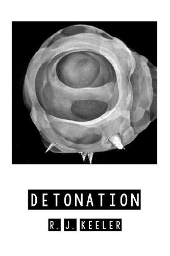 Cover image for Detonation