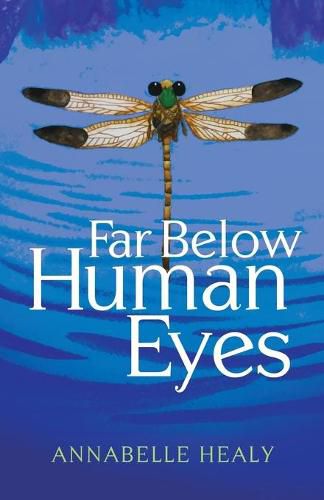 Cover image for Far Below Human Eyes