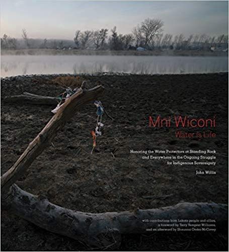 Mni Wiconi/Water is Life: Honoring the Water Protectors at Standing Rock and Everywhere in the Ongoing Struggle for Indigenous Sovereignty