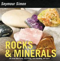 Cover image for Rocks & Minerals
