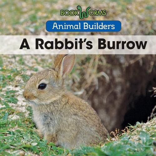 Cover image for A Rabbit's Burrow