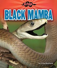 Cover image for Black Mamba