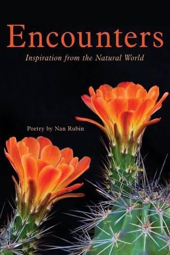 Cover image for Encounters: Inspiration from the Natural World