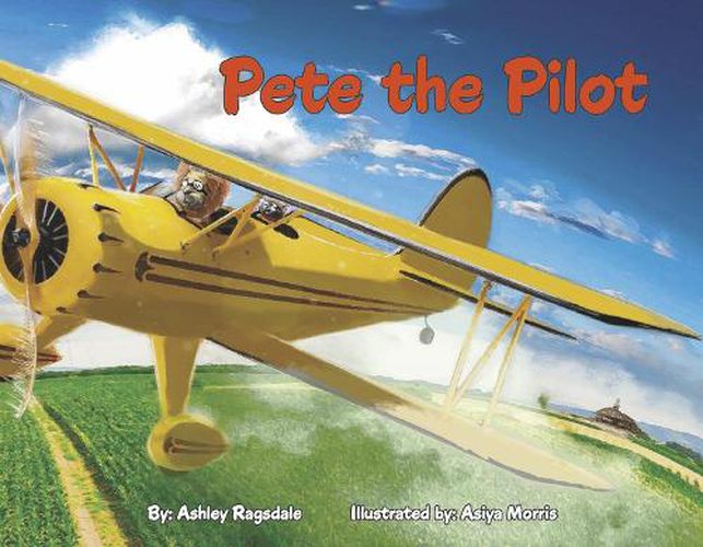 Cover image for Pete the Pilot