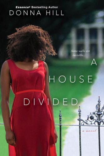 Cover image for A House Divided