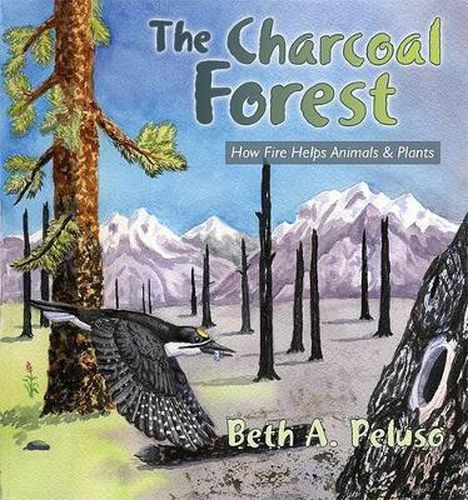 Cover image for The Charcoal Forest: How Fire Helps Animals and Plants