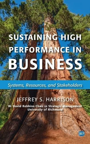 Cover image for Sustaining High Performance in Business: Systems, Resources, and Stakeholders