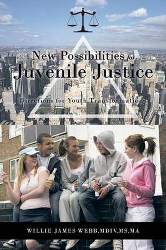 Cover image for New Possibilities for Juvenile Justice