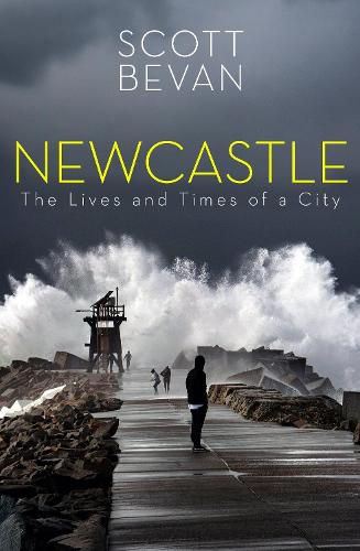Cover image for Newcastle