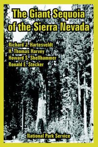 Cover image for The Giant Sequoia of the Sierra Nevada